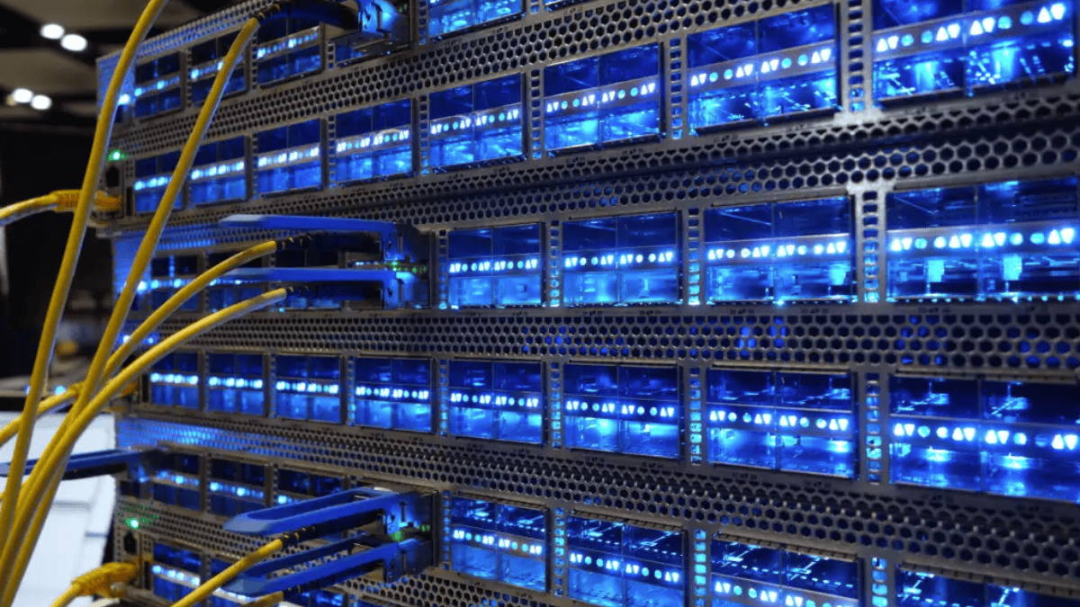 what role do switches play in network infrastructure