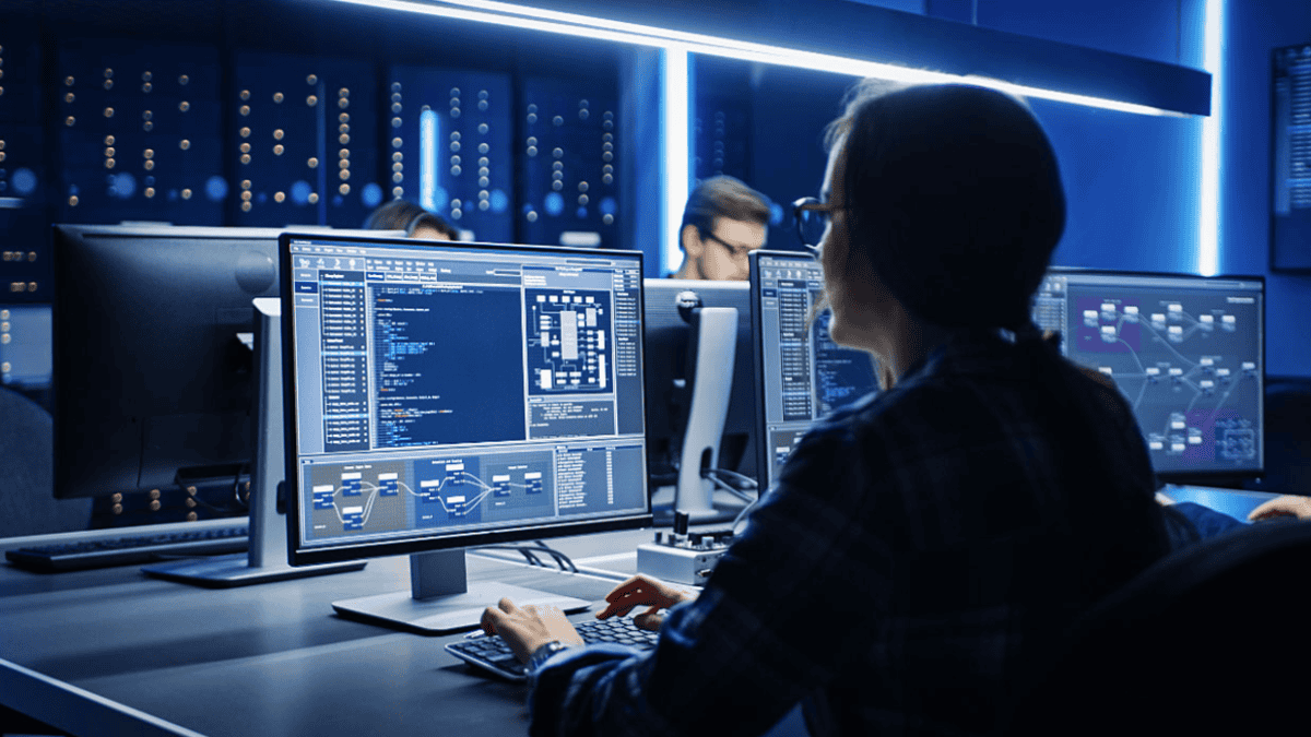 network administrator